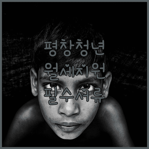 2026년 평창군 청년 월세 지원 신청 서류 및 준비 방법