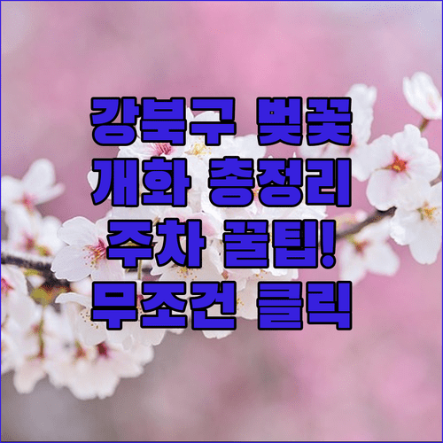 강북구 벚꽃 구경하기 좋은 곳 개화 시기 및 주차 팁