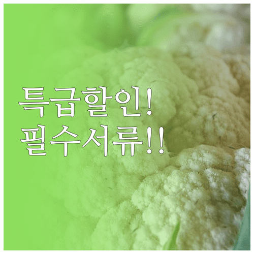 미스트롯4 콘서트 국가유공자 할인 혜택 및 증빙 서류 안내