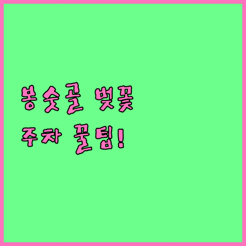 통영 봉숫골 벚꽃 축제 일정과 주차장 이용 방법