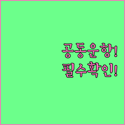 말레이시아 항공 위탁수하물, 공동운항편은 규정 확인 필수