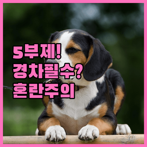 2026년 4월 차량 5부제 경차 하이브리드 의무화