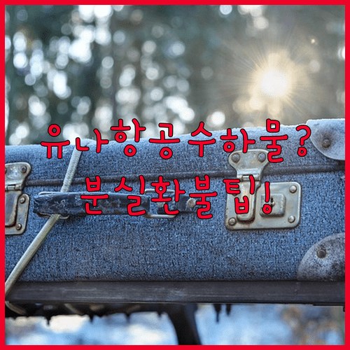 유나이티드 항공 수하물 규정 Q&A 분실 환불 스포츠 장비 팁