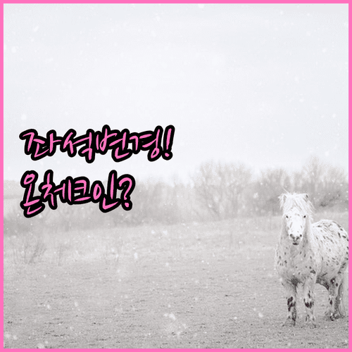 바틱 에어 좌석 변경, 예약 번호부터 온라인 체크인까지