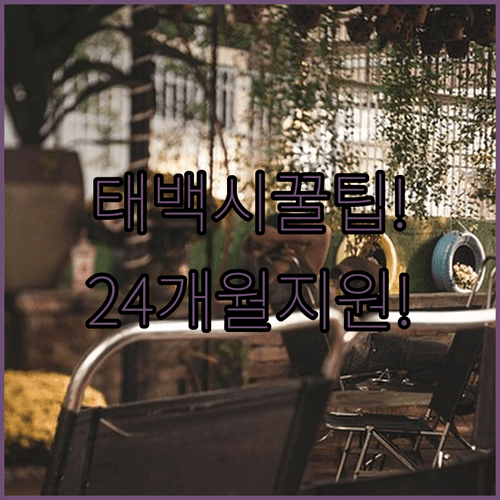 태백시 청년월세 지원 최대 24개월 혜택 받는 법