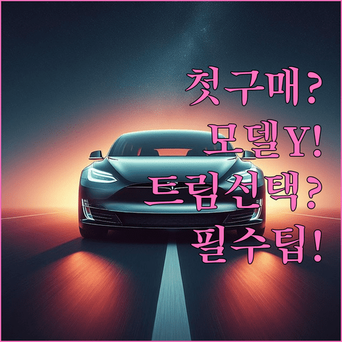 전기차 첫 구매자를 위한 테슬라 모델Y 트림 선택 팁
