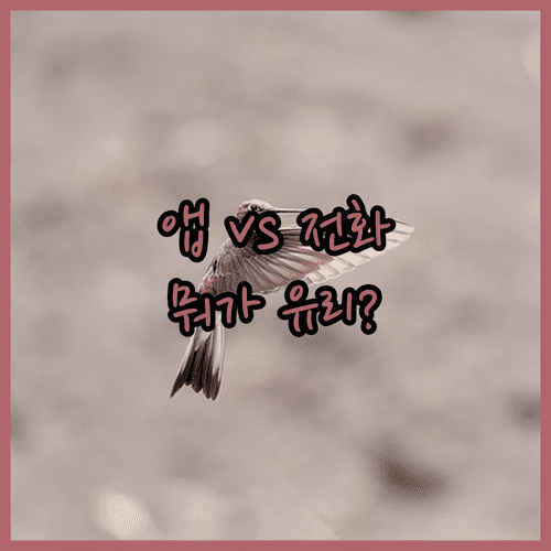 중국국제항공 좌석 변경 앱과 전화 비교