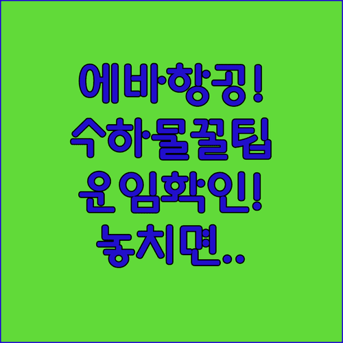 에바항공 수하물 규정 요약 운임 조건 확인이 가장 중요