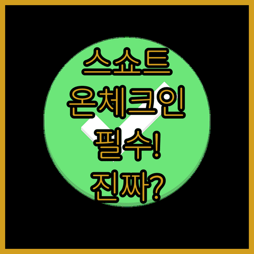 스쇼트항공 탑승 전 꼭 알아야 할 온라인 체크인 정보