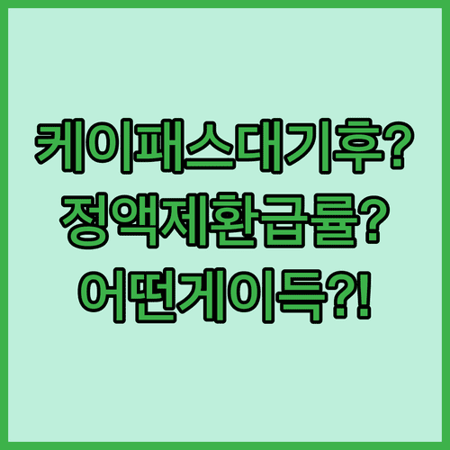 K패스 환급률과 기후동행카드 정액제 비교 분석