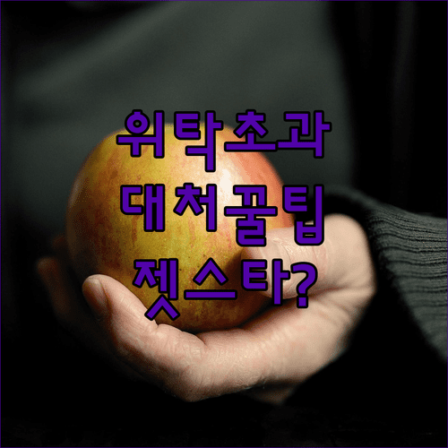 젯스타 위탁수하물 크기와 무게 초과 시 대처 방법