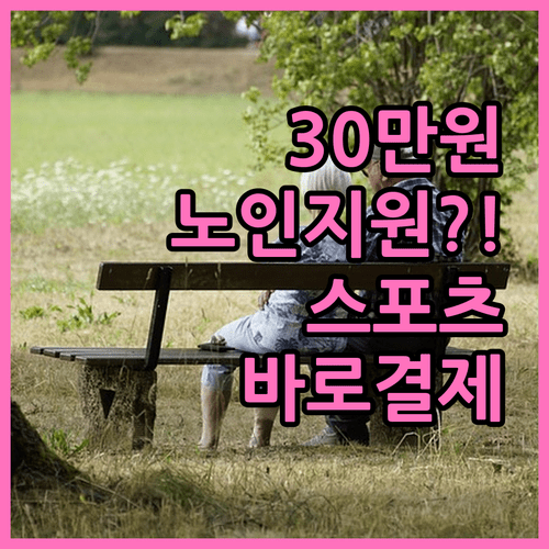 2026년 어르신 스포츠 상품권 30만원 지원, 체육시설 바로 결제