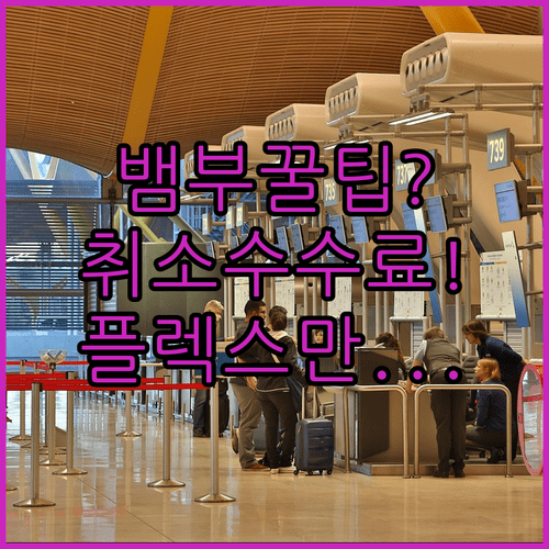 뱀부 항공 국내선 취소 수수료, 플렉스 운임이 가장 자유로워