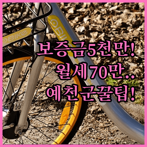 2026년 예천군 청년월세 | 보증금 5천만원 월세 70만원 이하 조건