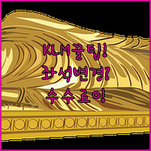 KLM 좌석 변경 가능 시간부터 수수료 없는 꿀팁까지 한 번에