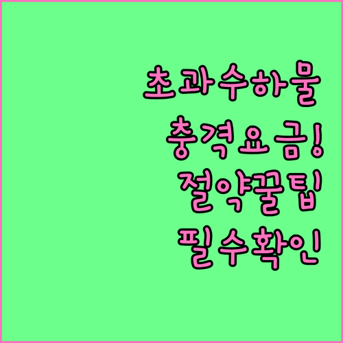 센트럼항공 초과 수하물 요금 절약하는 방법