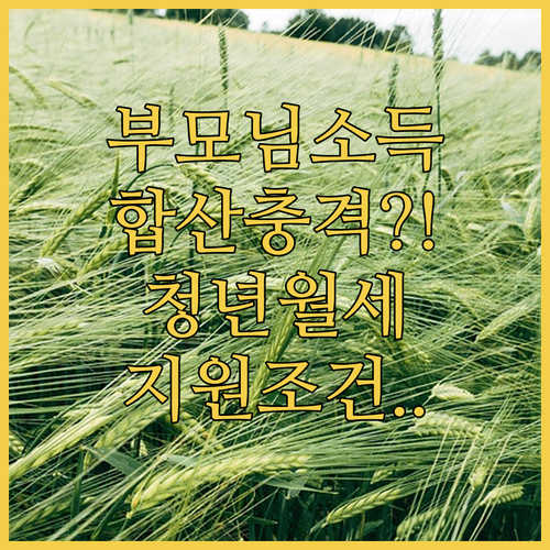 양평군 청년월세 지원 부모님 소득 합산 조건