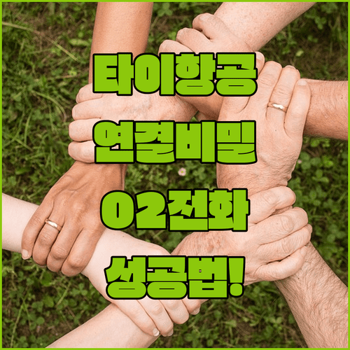 타이항공 고객센터 02-3707-0114 연결 성공하는 법