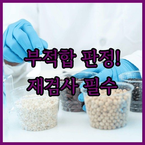 자동차검사 부적합 판정 후 재검사 절차